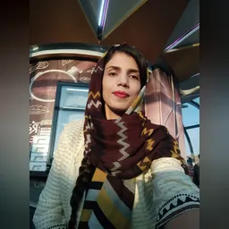 نیلا، برنامه نویس، طراح سایت 