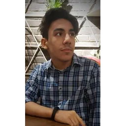 امیرعلی شاملو