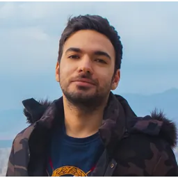 محمد حسین محمودی