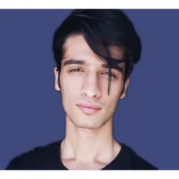 علی پالوانه