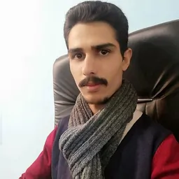 رضا بهمن پور