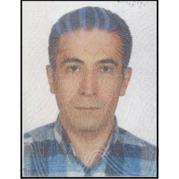 محمد مهدی علیزاده