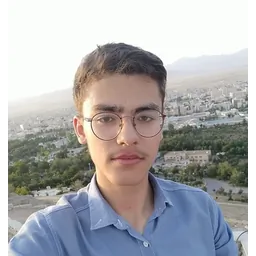 مهدی یعقوبی