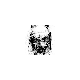 امیر حسین صالحی