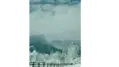 فریلنسر