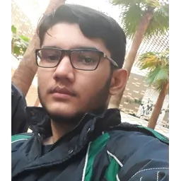 محمد مهدی زارع فیروزی