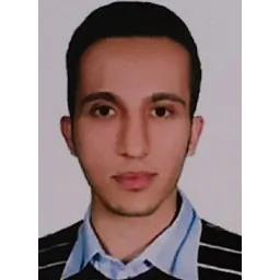 محمد حسین محبی