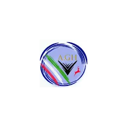 Amirhossein.GH