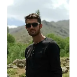 amirali ali