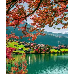 زهرا شفیعی