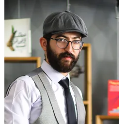 Hamed Mohseni