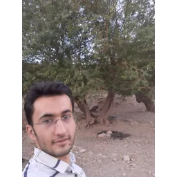 Mahdi dost mohamadi