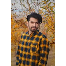 mohammad javad Alizadeh