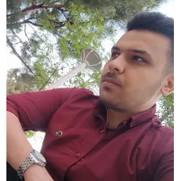 محمد حسن زاده