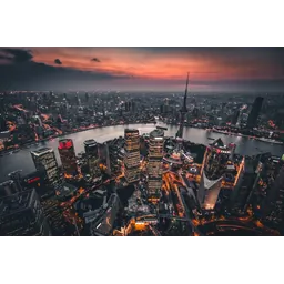 ریحانه محمدی