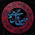  محمد صالح گل محمدی 