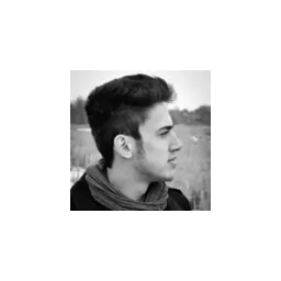 سیدحسن موسوی