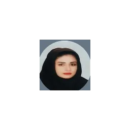 برنامه نویس