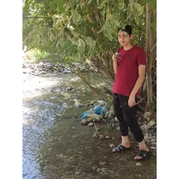 محمد مهدی محسنی