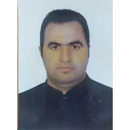 پژمان اصلی