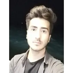 ابوالفضل محمدی