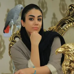 مهسا کیفرگیر