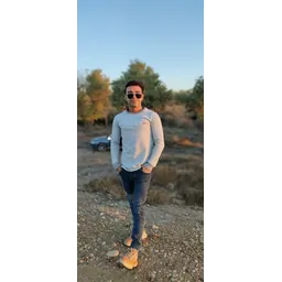 amir p