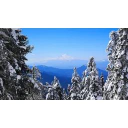 ارسلان شعاعی