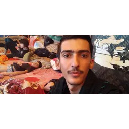 محمد مهدی محمودی