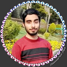 محمدرضا مجیدی