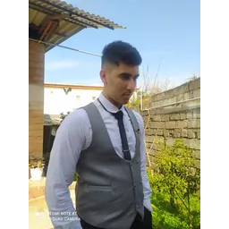 سهیل محمودی