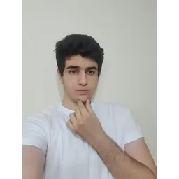ali sadeghi