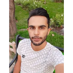 شهاب ذوقی