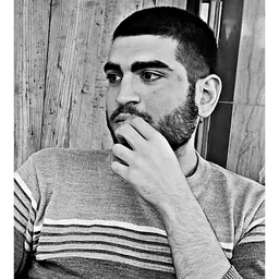 Amir Aran