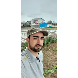 Amindesign