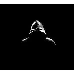 Seyed Mohammad Majidi