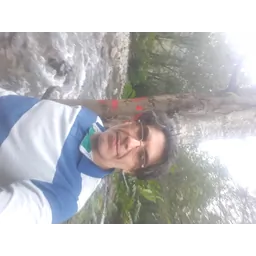 Hamid Reza