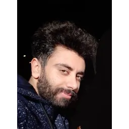 mehdi taji