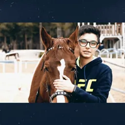 مرجان مجلسی