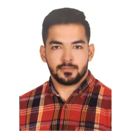 امیرحسین اولی