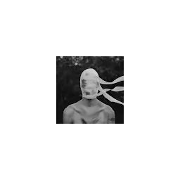 galirezazoodiak-3094