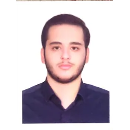 محمد مهدی غلامی