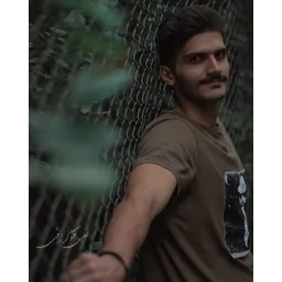 Ali Goodarzi