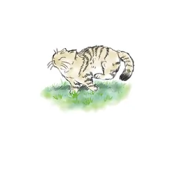 ساراسادات ابوالقاسمی