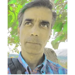 داریوش امینی