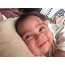 نازنین فتحی