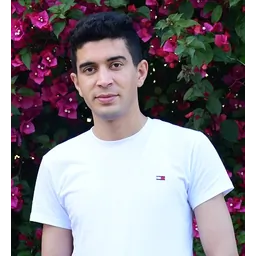 میرولی سیدمنیر