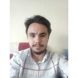 محمود انوری