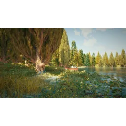 امین محمودی