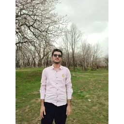 محمد مهدی احمدی